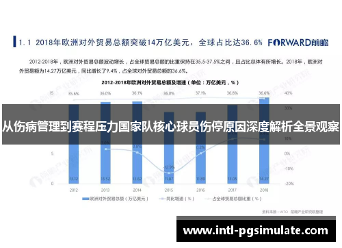 从伤病管理到赛程压力国家队核心球员伤停原因深度解析全景观察
