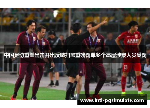 中国足协重拳出击开出反赌扫黑重磅罚单多个高层涉案人员受罚 中国足协重拳出击开出反赌扫黑重磅罚单多个高层涉案人员受罚